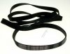 Drive Belts - C00145707 482000030038 Belt Poly-vee H9 1860mm (td) [Whirlpool Indesit]