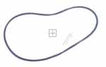 Sealing Materials - 2191812029 Sealing Ring Motor [Electrolux Aeg]