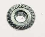Brandt Nut - 75x1449 Nut