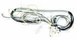 Harness - C00317680 481232128386 Wiring Set (wp-ig [Whirlpool Indesit]