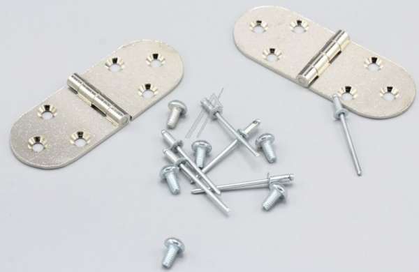 Door Hinges - 50295748003 Hinge [Electrolux Aeg]