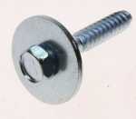 Lg Screw - Screw Assembly