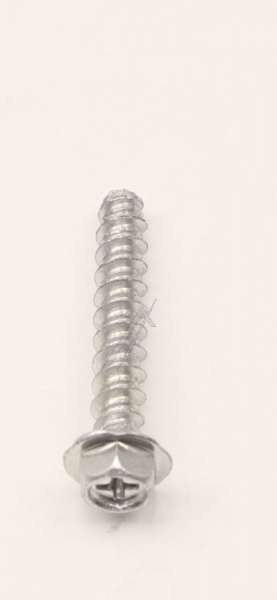 Spring - 1017504 Door Hook Spring [Amica]