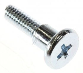 Haier Hinge Pin - 0060105303 49053007 Bolt Cross-slotted