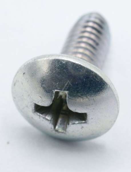 Euna Screw - Large Flat Heard Screw