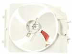 Motor - Motor [Bosch Siemens]