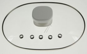 Flap - Ms-0a21463 Cover-glass [Groupe SEB]