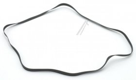Dual Flat Belt - Flat Belt Dual Flat Belt - Flat Belt