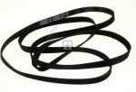 Poly v belt H - C00300793 1991h8el Poly-v Belt [Whirlpool Indesit]