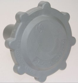 Miele Cap - Cap