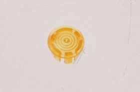 Miele Cap - Cap